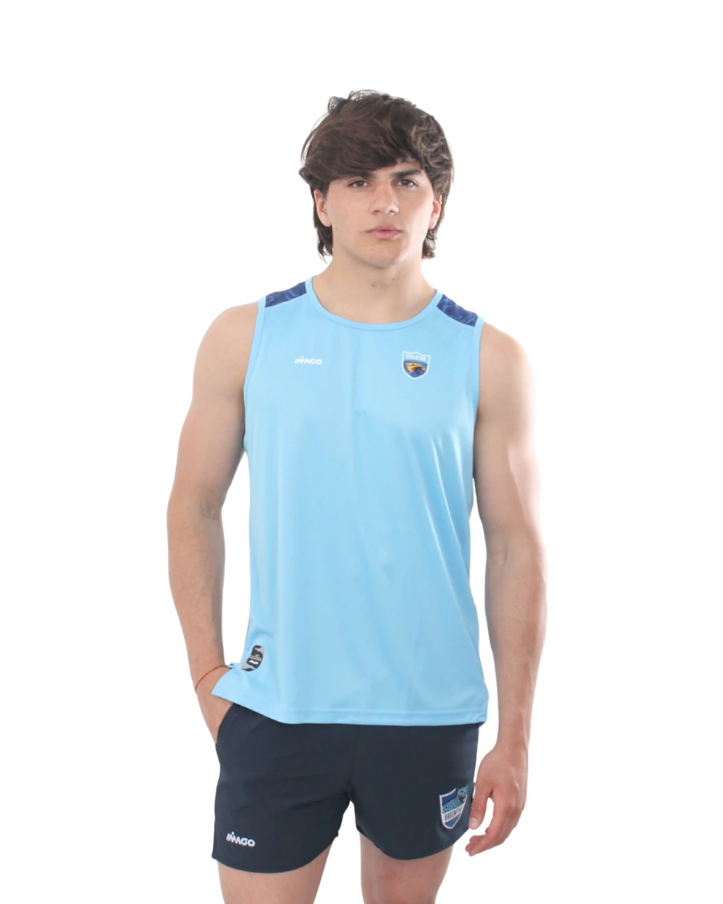 Musculosas
